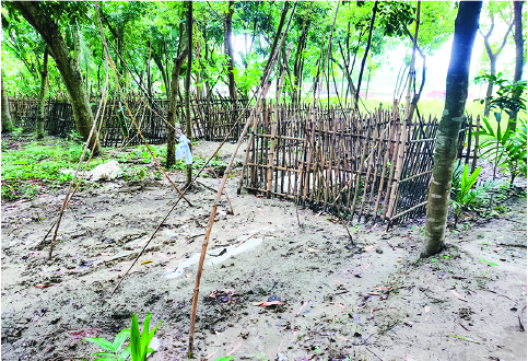 Image of মো: আলমগীর সেখ
